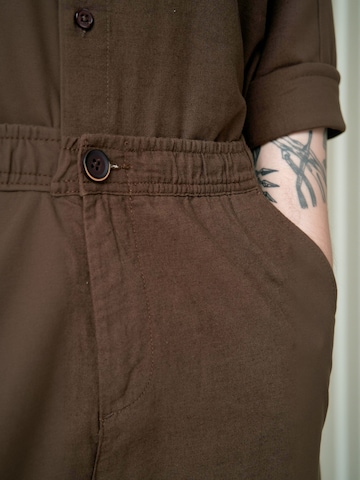 regular Pantaloni ' Cotton ' di TEESHOPPEN in marrone