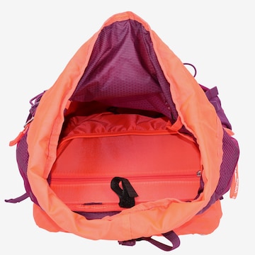 SALEWA Sports Backpack in Purple