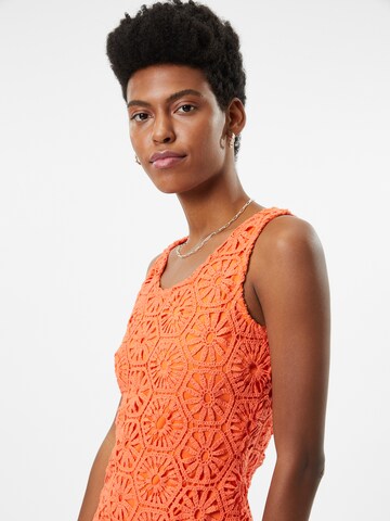 Dorothy Perkins Kleid in Orange