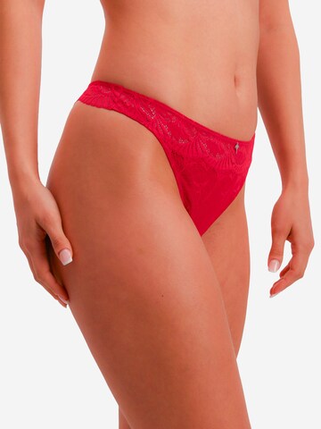 String ' Beautiful ' JOOP! en rouge