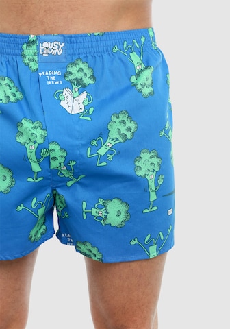 Lousy Livin Boxershorts 'Avocado & Broccoli' in Blau