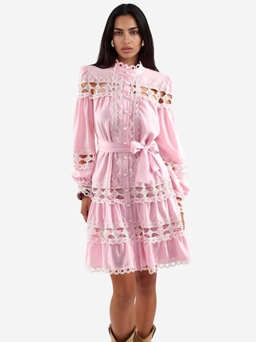 MSN Collection Kleid 'Mini'‌‌‌‌‌ in Pink: Vorderseite