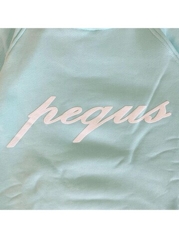 Pequs Sweatshirt in Blue
