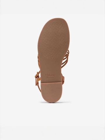 Cole Haan Riemensandale 'JITNEY' in Braun
