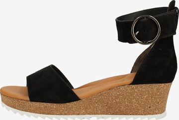 Paul Green Sandals in Black