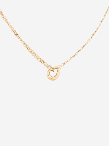 Calvin Klein Ketting in Goud