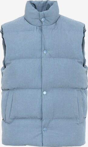 Antioch Bodywarmer in Blauw: voorkant