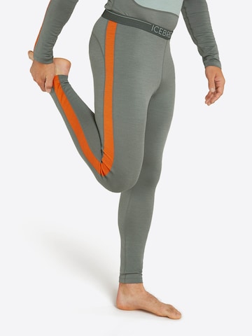 ICEBREAKER Skinny Sports trousers '200 Oasis' in Grey: front