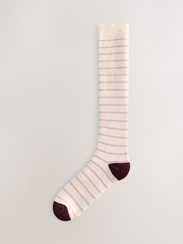 Next Гольфы в Бежевый