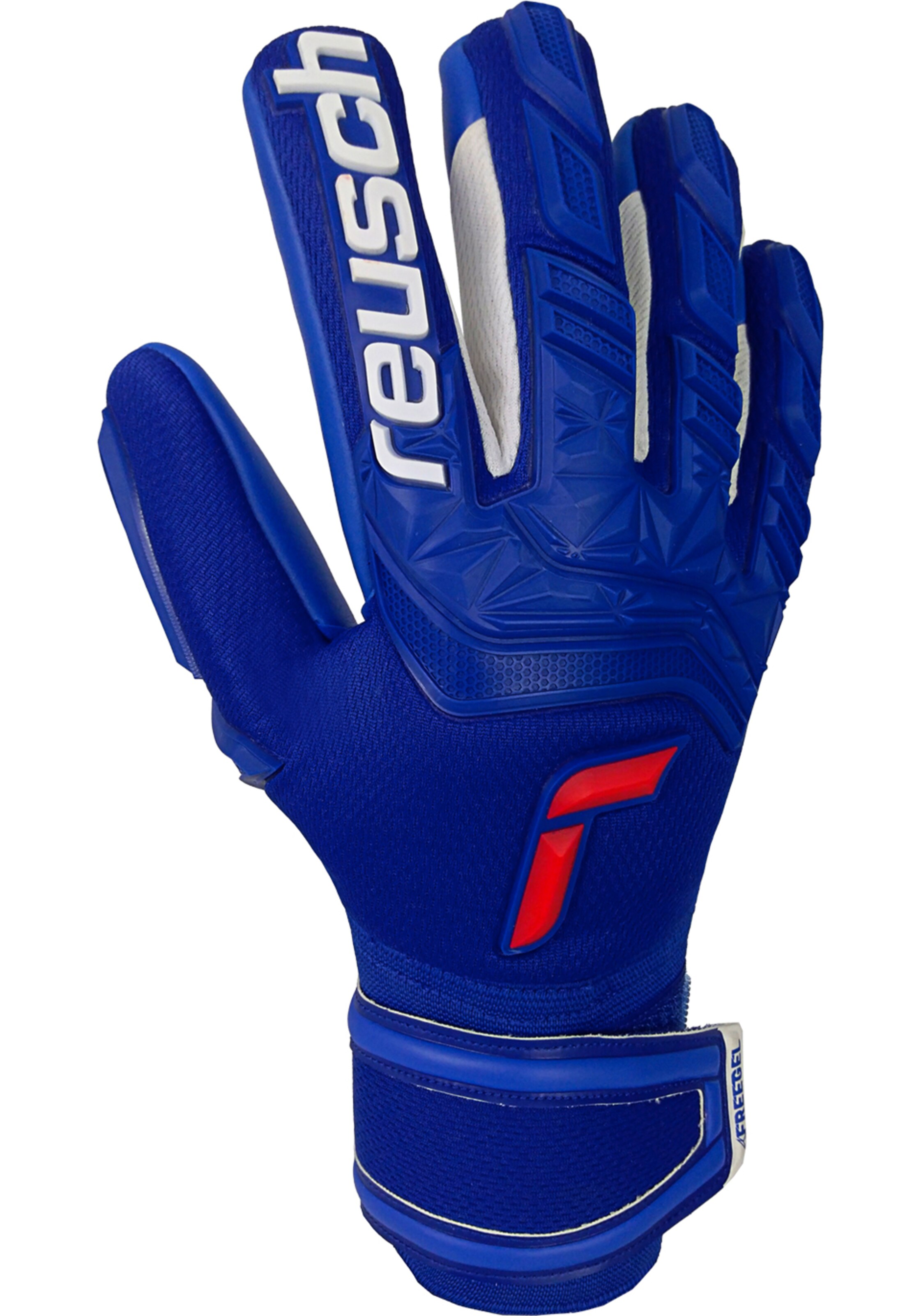 REUSCH Sporthandschoenen 'Attrakt Freegel' in Blauw