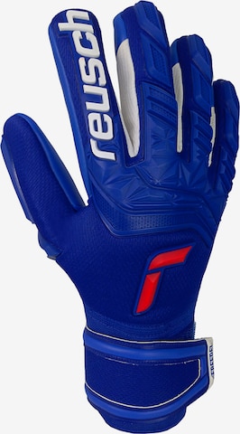 REUSCH Athletic Gloves 'Attrakt Freegel' in Blue