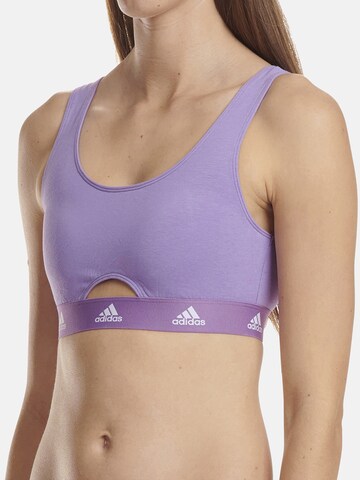 ADIDAS SPORTSWEAR Bustier Bustier ' SCOOP BRALETTE ' in Lila