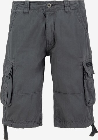 ALPHA INDUSTRIES - Pantalón cargo 'Jet' en gris: frente