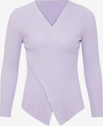 EUCALY Pullover in Lila: predná strana