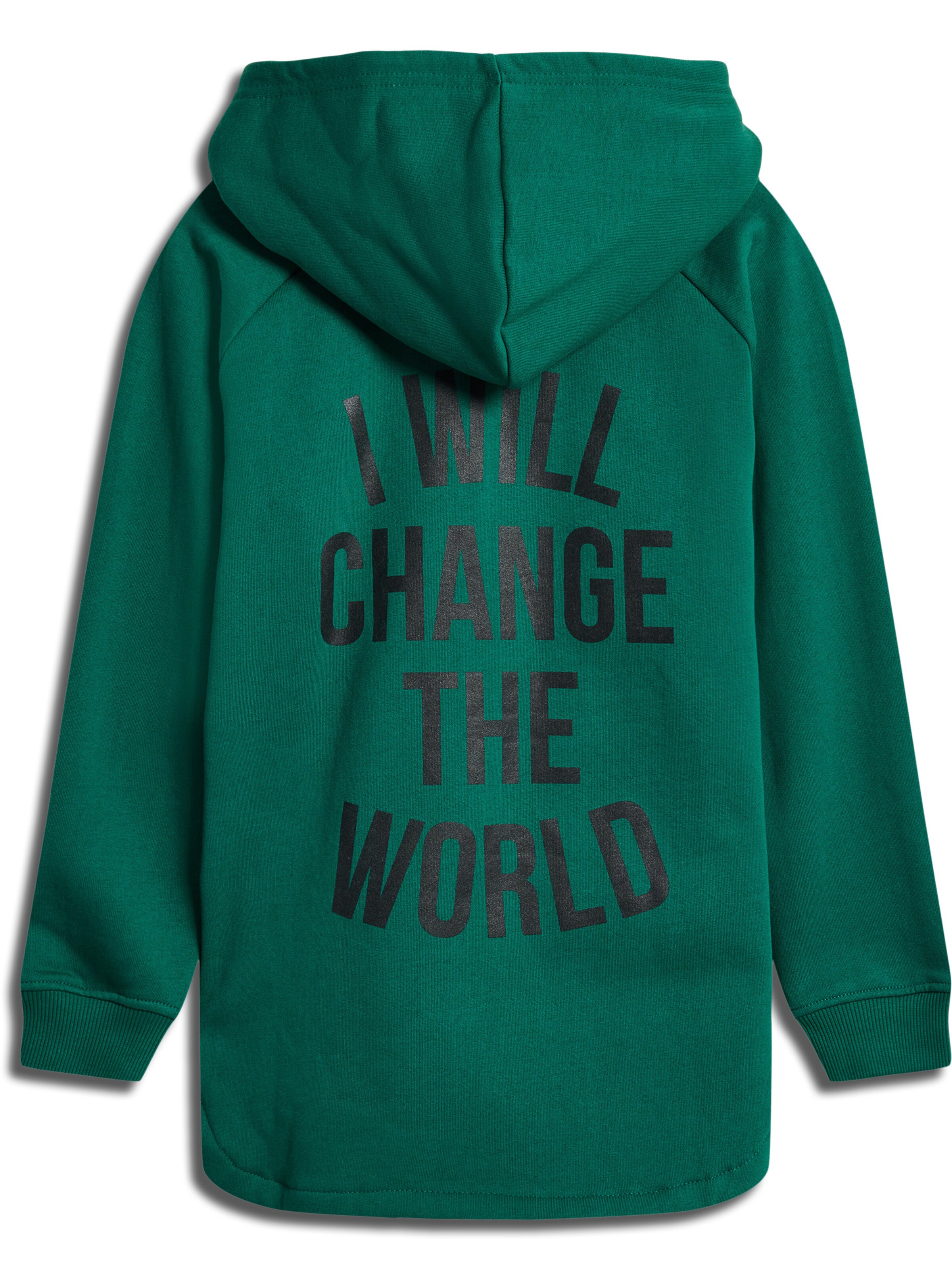 SOMETIME SOON Sweatshirt in Groen