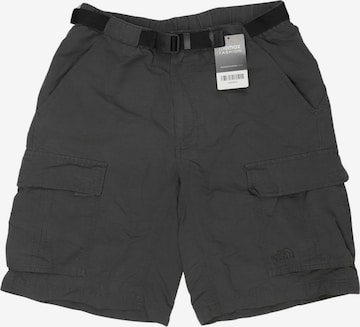 THE NORTH FACE Shorts 31-32 in Grau: Vorderseite