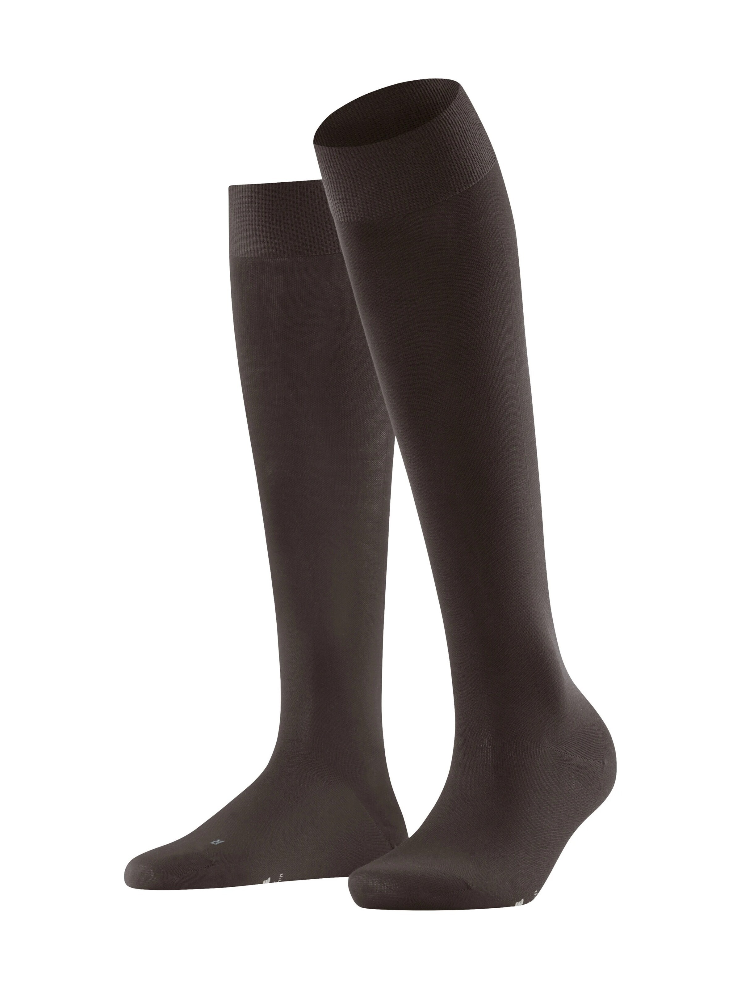 FALKE Overknee Strümpfe 'Vitalizer'‌‌‌ in Braun: Vorderseite