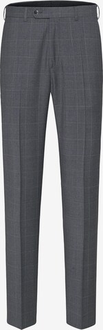 Digel Regular Pleated Pants in Grey: front