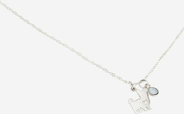 Gemshine Ketting in Zilver