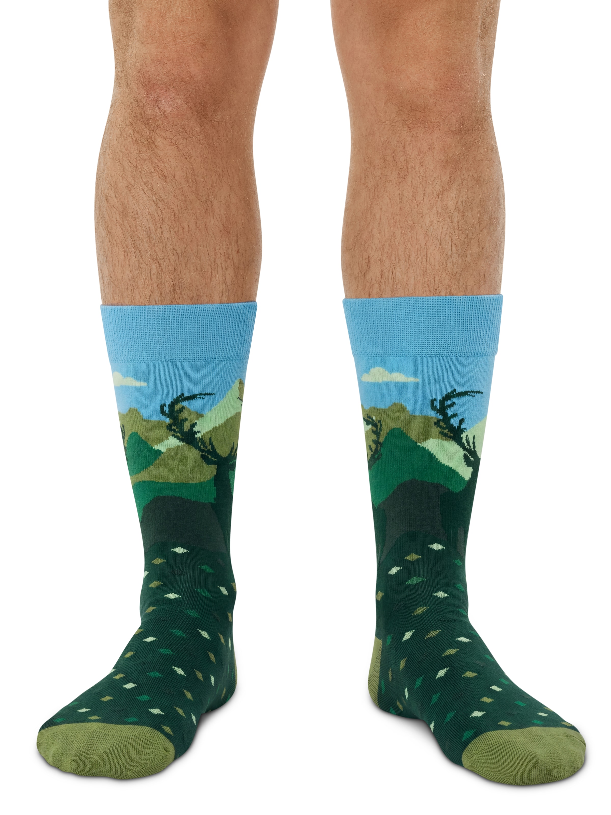 Circle Five Socken‌‌‌‌‌ in Grün: Vorderseite