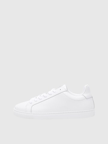 SELECTED HOMME Низкие кроссовки 'SLHEVAN' в Белый: спереди