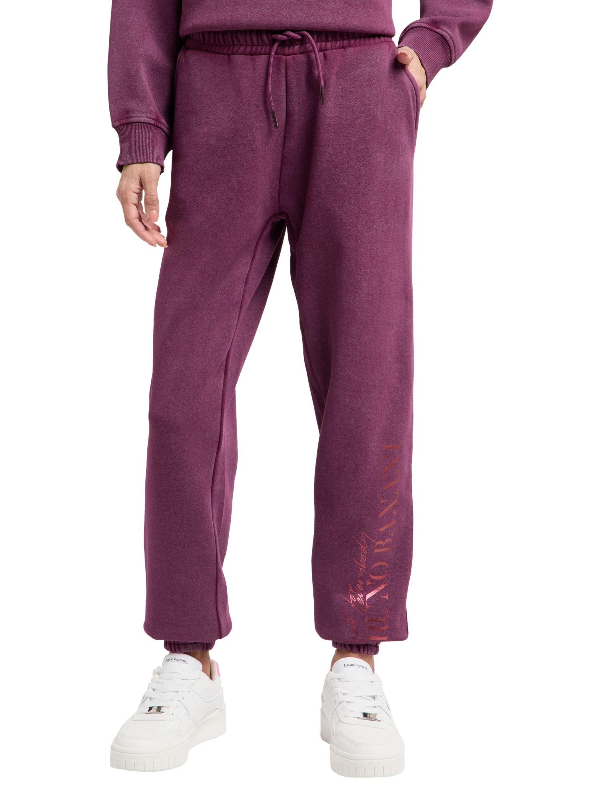 Regular Pantalon 'Burtwhistle' Bruno Banani en violet : devant