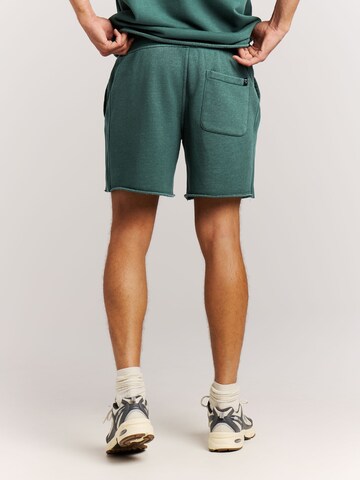 PROTEST Regular Pants 'PRTGalvan' in Green