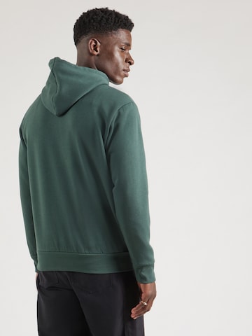 Felpa di TIMBERLAND in verde