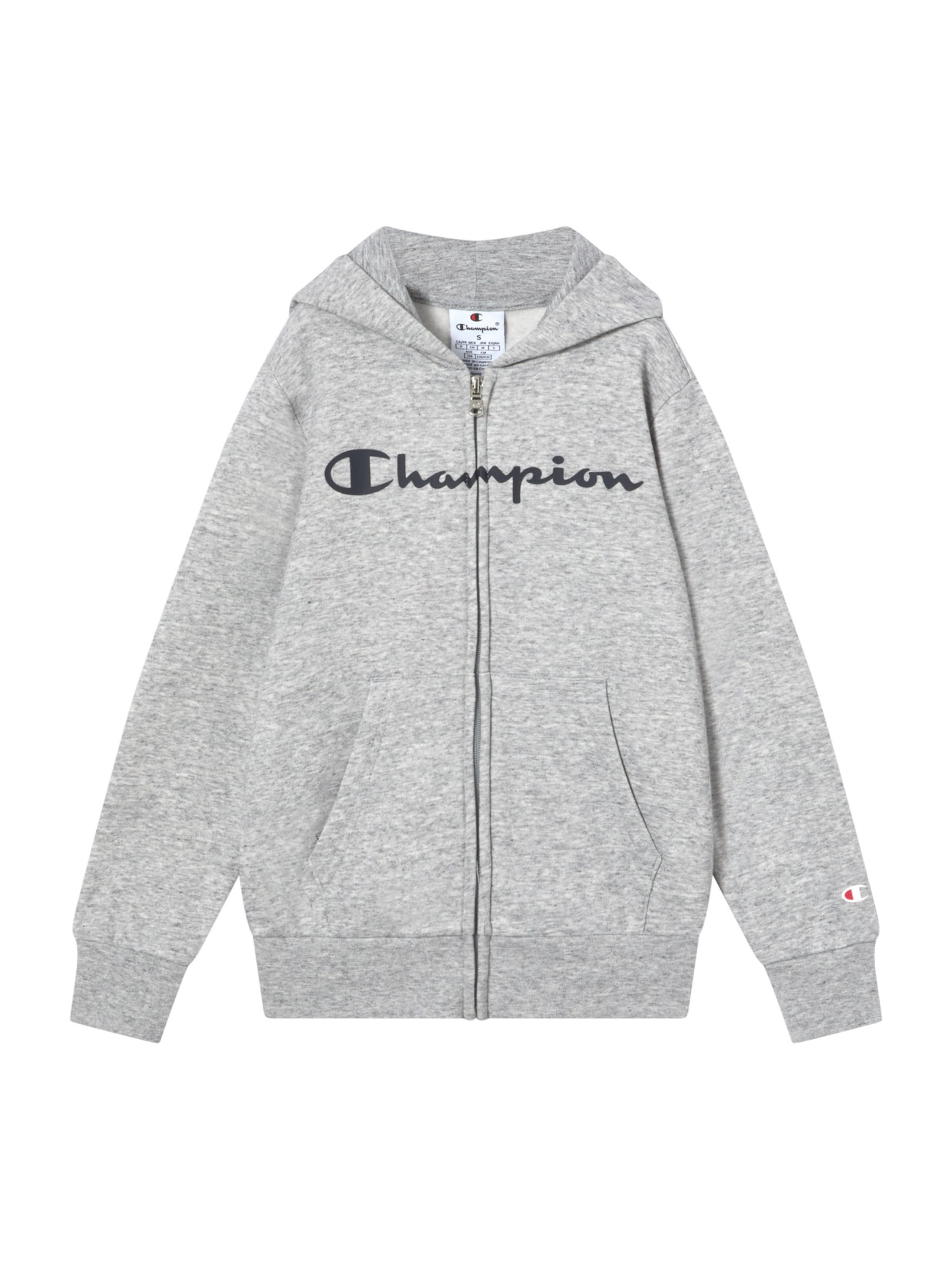 Champion Authentic Athletic Apparel Collegetakki värissä harmaa: etupuoli