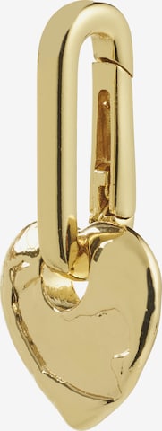 Pilgrim Riipus värissä kulta: etupuoli