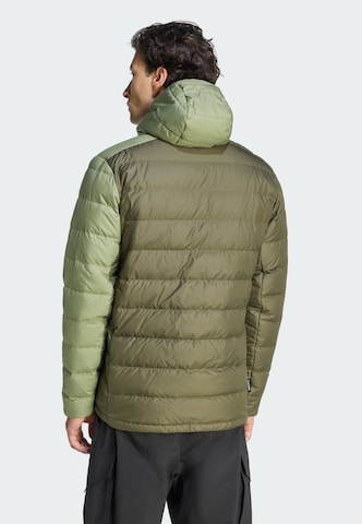 Veste outdoor 'Multi' ADIDAS TERREX en vert