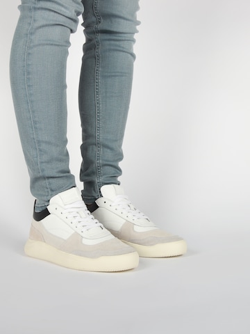 Sneaker bassa di BLACKSTONE in beige: frontale