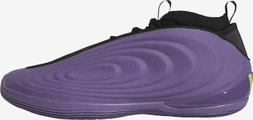ADIDAS PERFORMANCE Sports shoe 'Harden Volume 10' in Purple: front