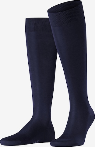 FALKE Knee High Socks 'Tiago' in Blue: front