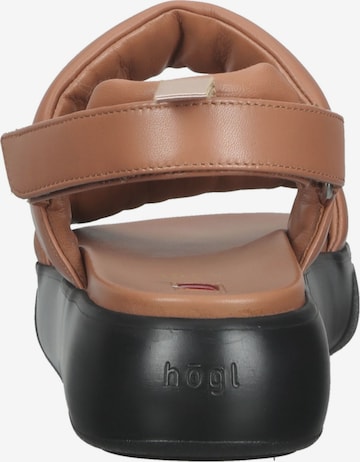 Högl Sandals in Brown