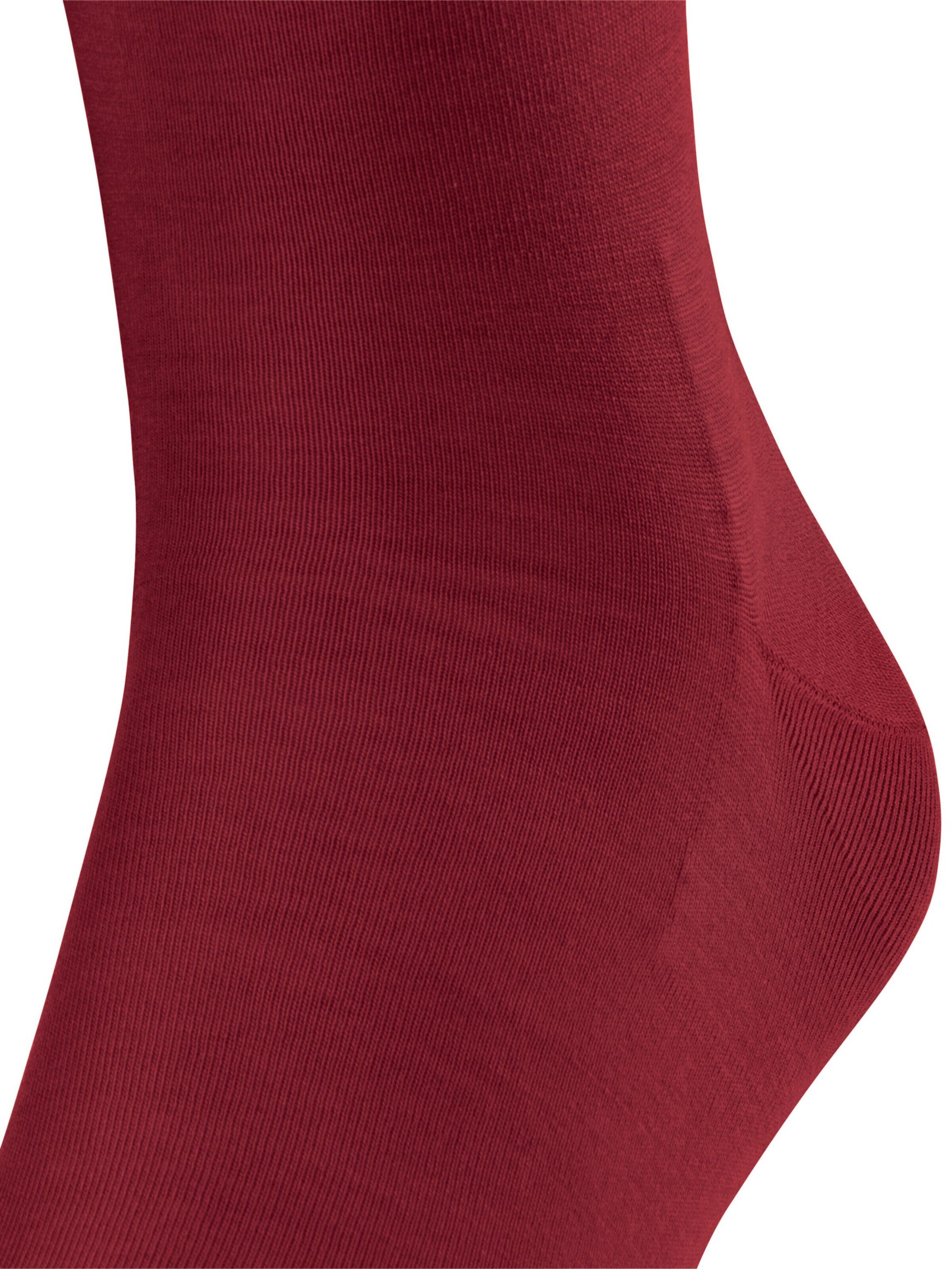 FALKE Knee High Socks 'ClimaWool' in Red