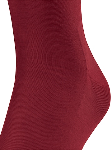 FALKE Knee High Socks 'ClimaWool' in Red