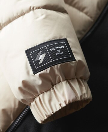 Superdry Winter Jacket in Beige