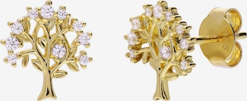 Boucles d'oreilles Lucardi en or : devant