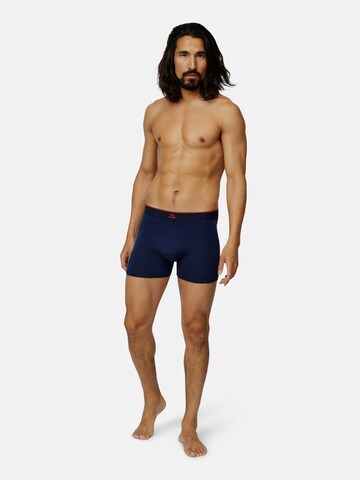 DANISH ENDURANCE Boxershorts 'Bamboo' in Blau