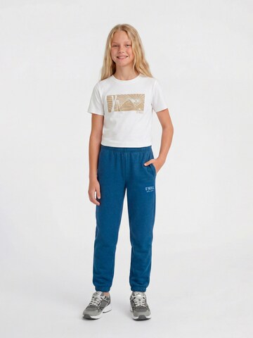 O'NEILL - regular Pantalón en azul