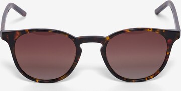 Hummel Sunglasses in Brown