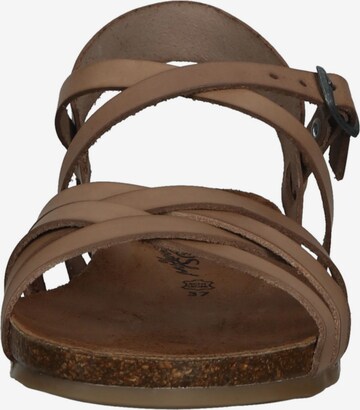 COSMOS COMFORT Strap Sandals in Brown