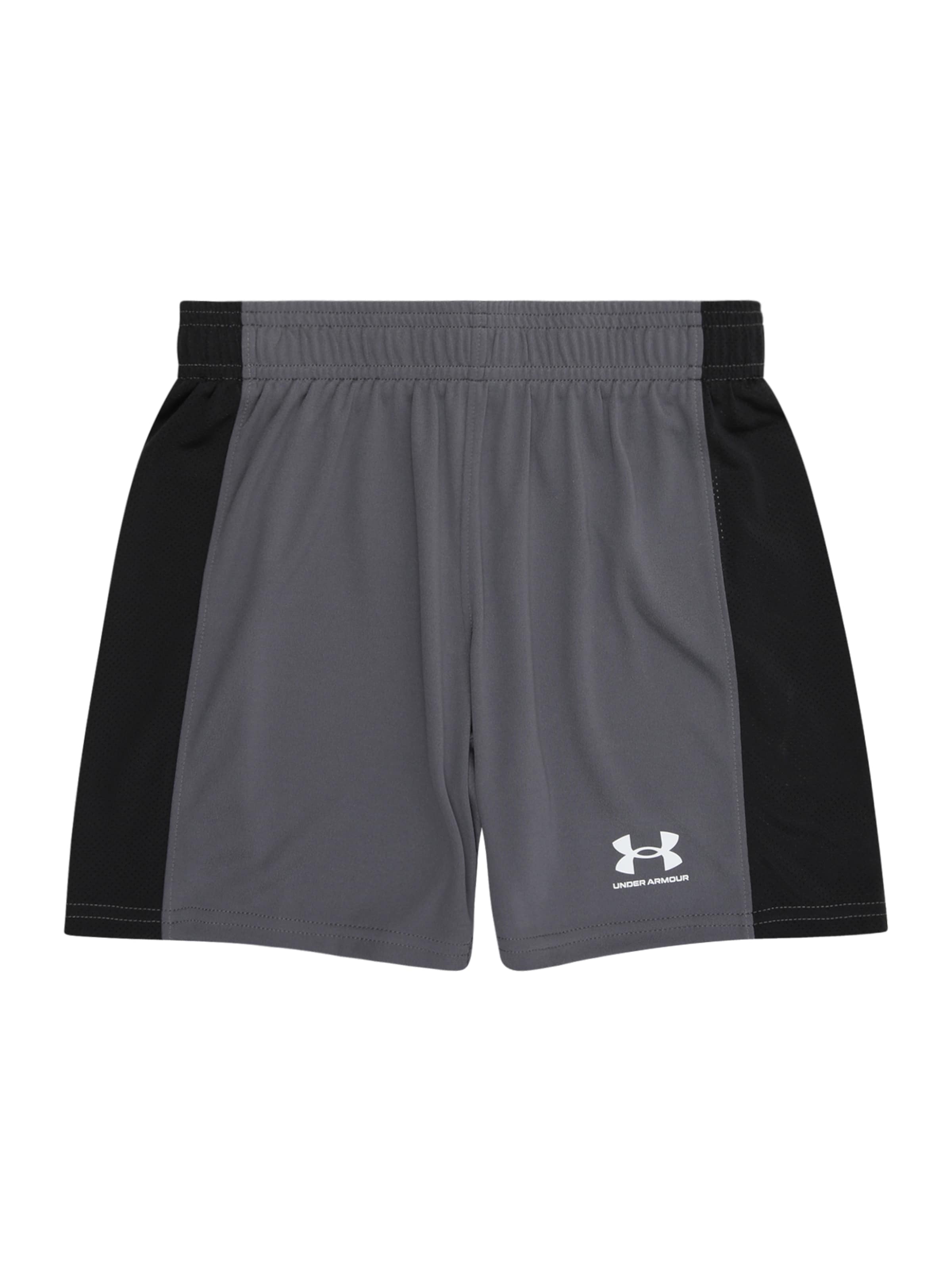 UNDER ARMOUR Regularen Športne hlače | siva barva: sprednja stran