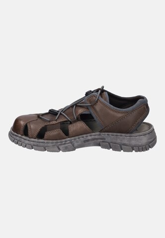 JOSEF SEIBEL Sandale 'Brendan 05' in Braun