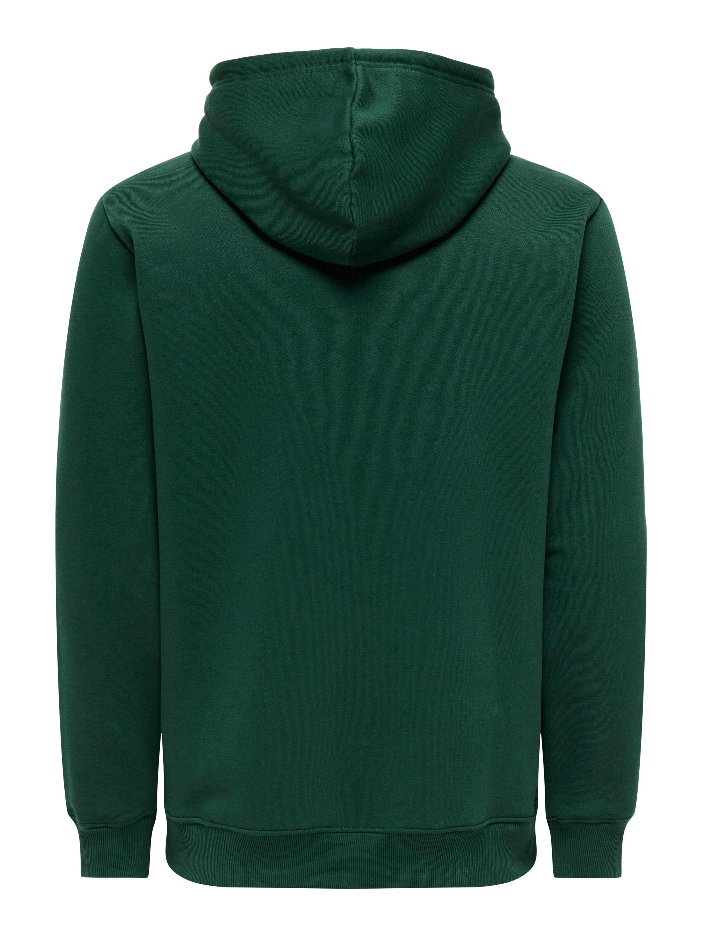 Only & Sons Свитшот 'ONSConnor' в Зеленый