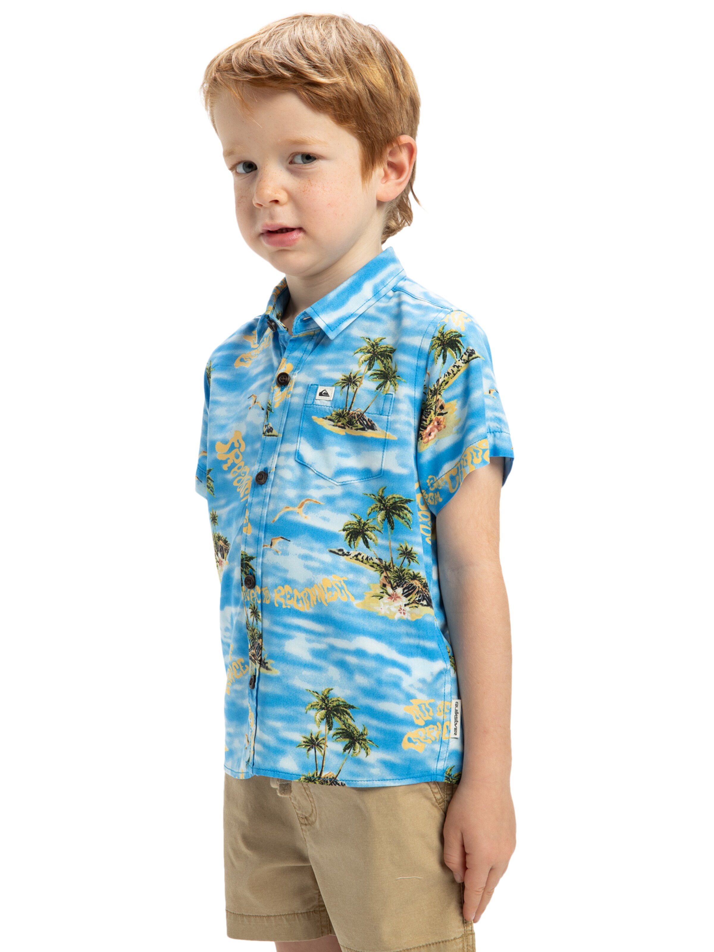 QUIKSILVER Regular fit Overhemd 'Safe Paradise' in Blauw