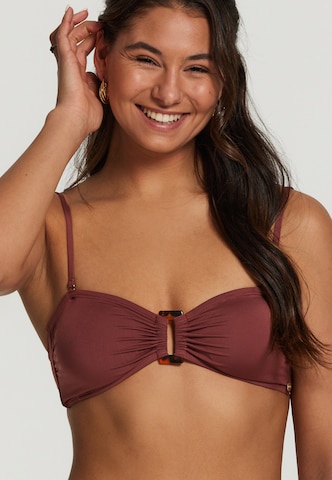 Shiwi Bandeau Bikini 'Zoe' in Brown