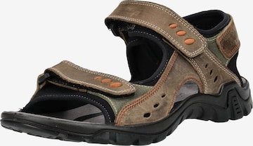 Sandales de randonnée ROHDE en marron : devant