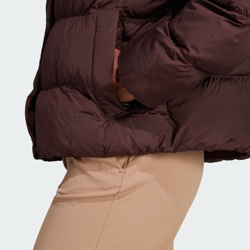 Veste d’hiver 'Short Vegan ' ADIDAS ORIGINALS en marron